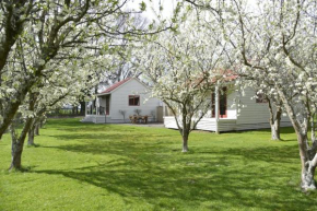 Terracotta Lodge & Cottages, Masterton